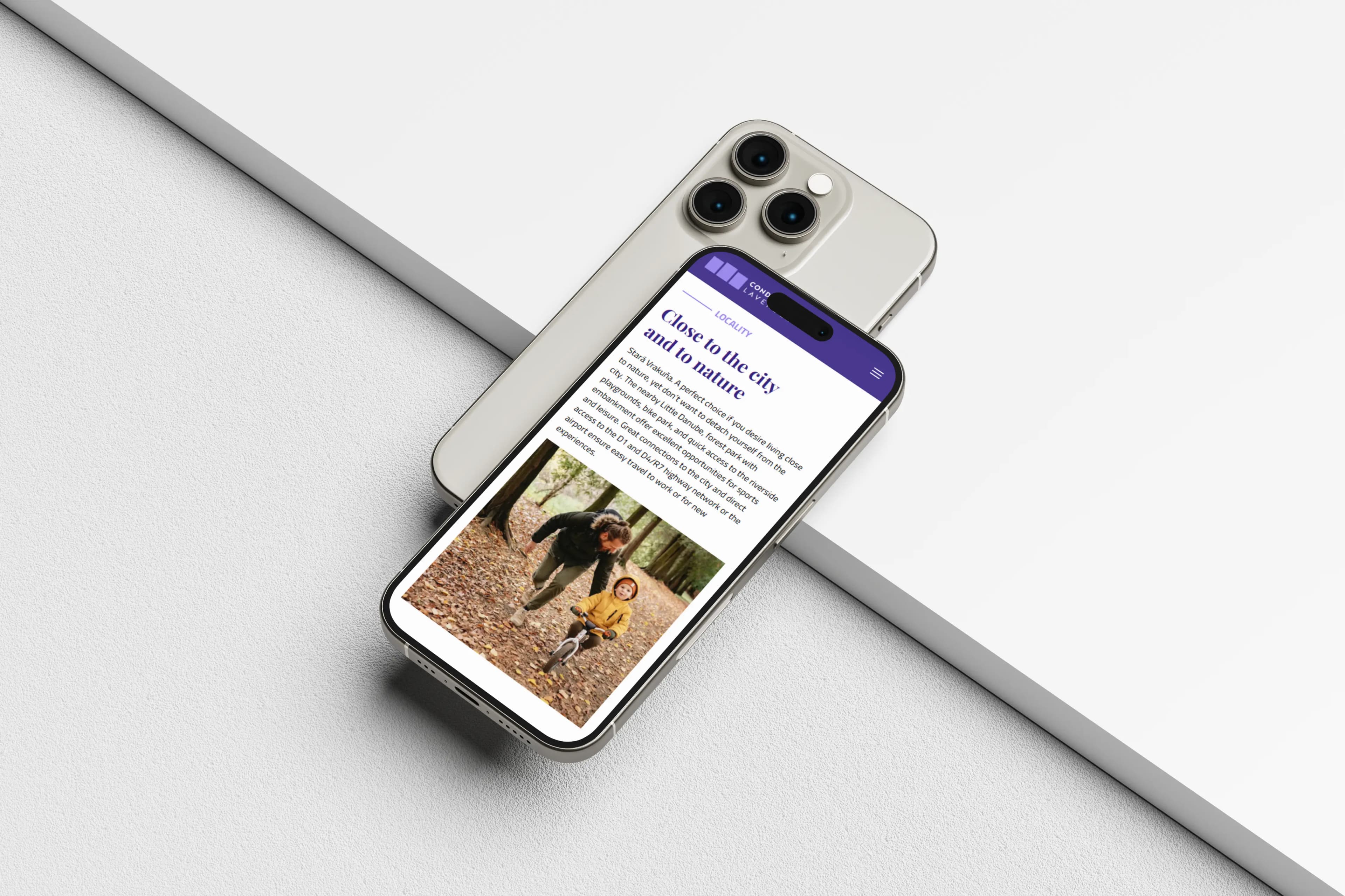 Condominium Lavender — Custom Development | Metinas